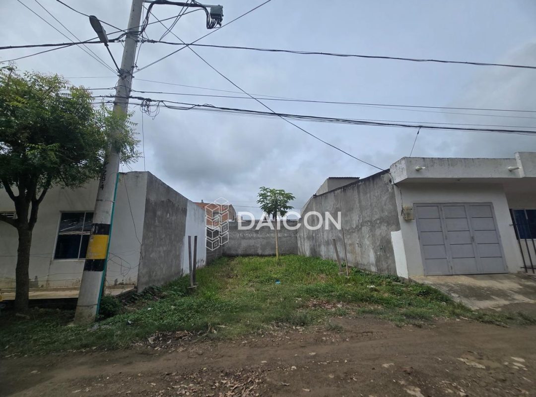 Imagen de WhatsApp 2025-11-05 a las 14.35.48_f7488492