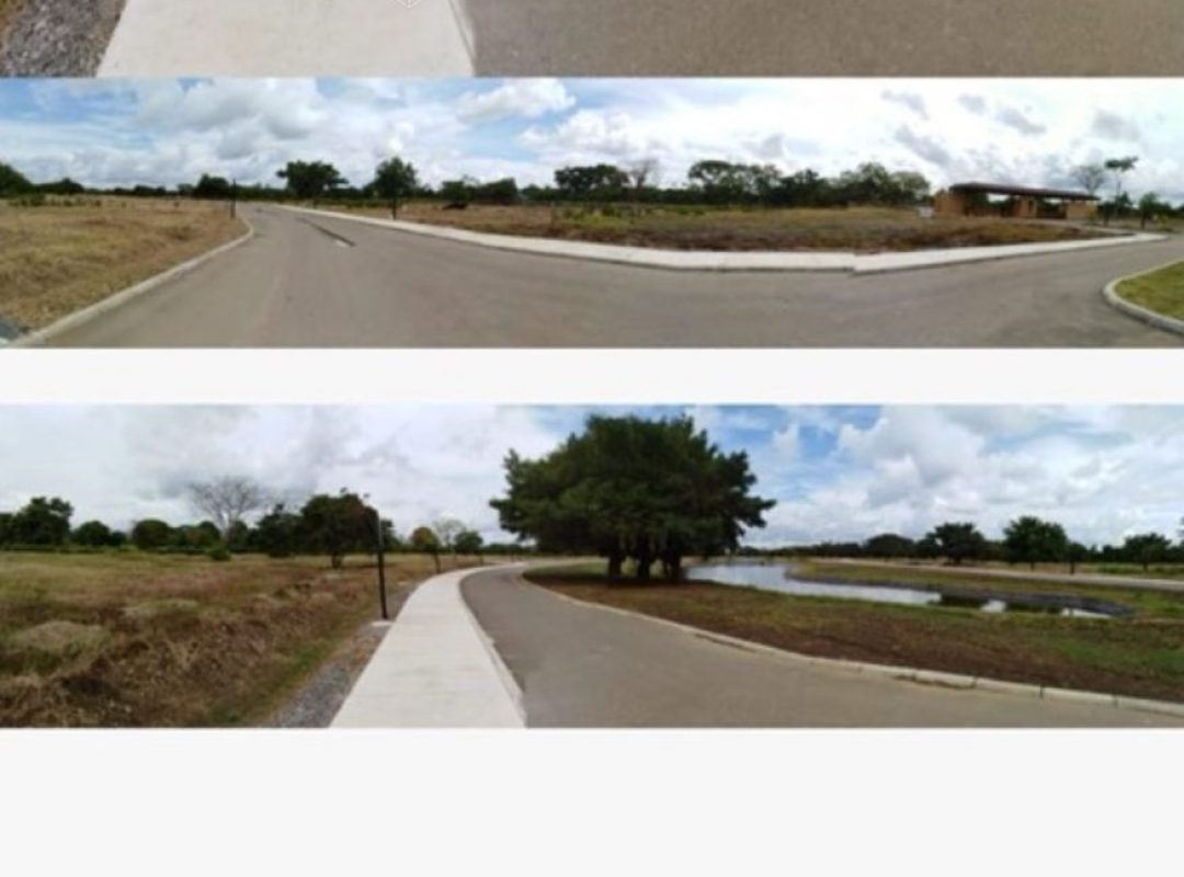 Imagen de WhatsApp 2025-11-20 a las 15.28.12_9ac20278