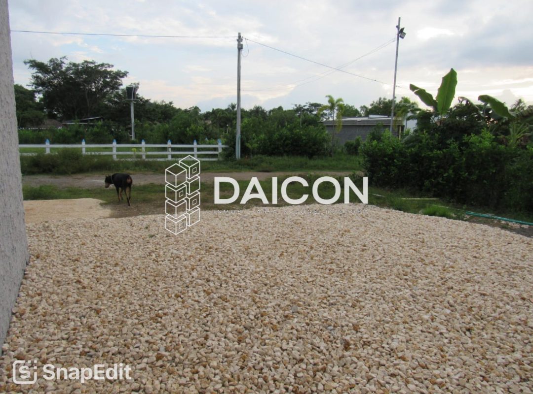 WhatsApp Image 2026-01-22 at 11