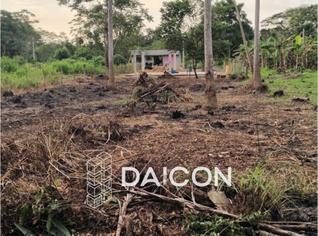 WhatsApp Image 2026-02-18 at 10.55.34 AM