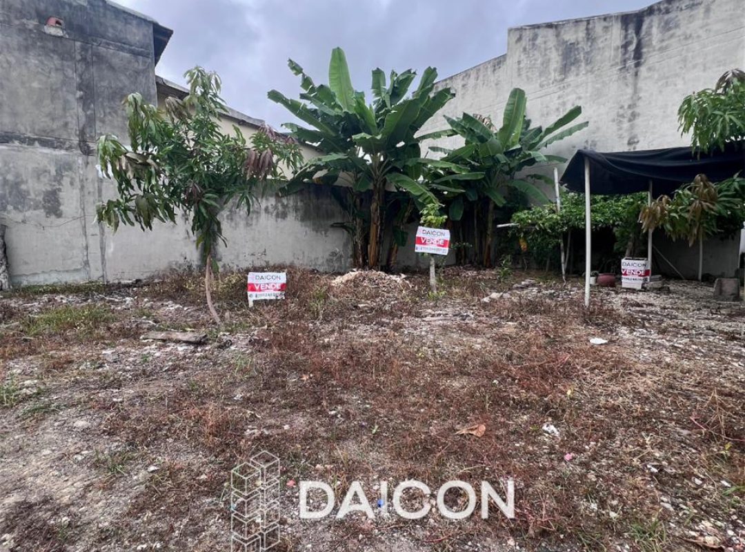 WhatsApp Image 2026-02-24 at 8.30.23 AM