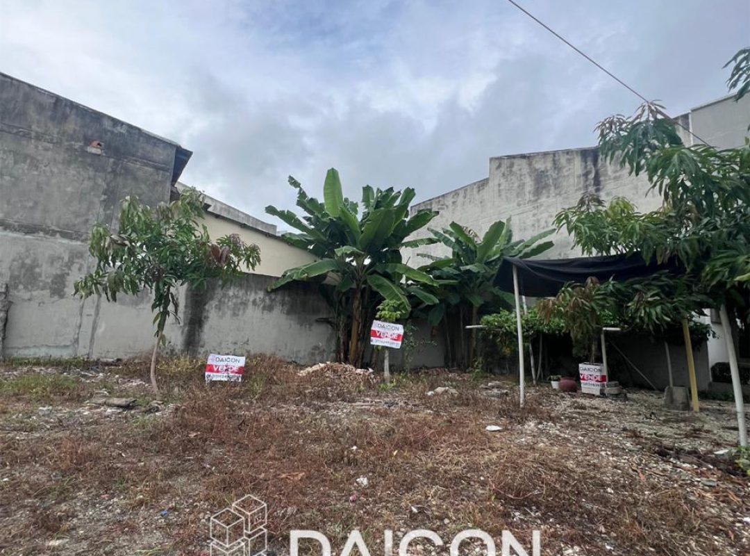 WhatsApp Image 2026-02-24 at 8.30.24 AM (1)