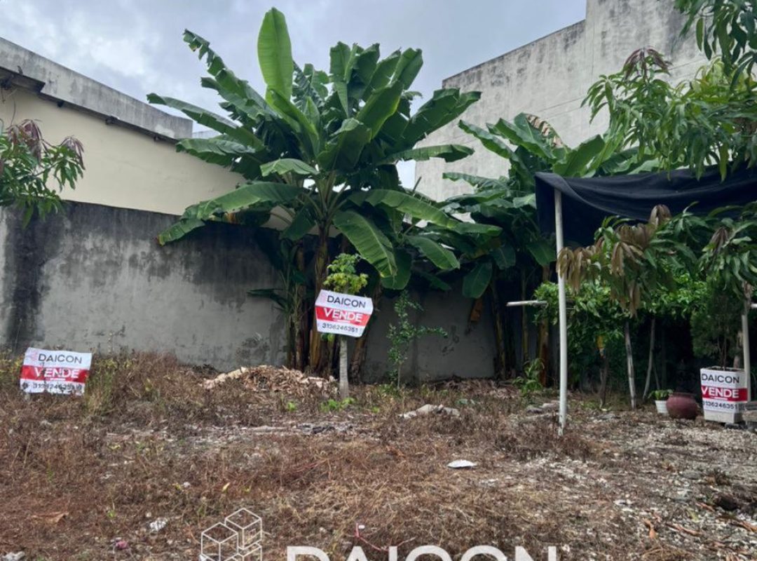 WhatsApp Image 2026-02-24 at 8.30.24 AM (2)