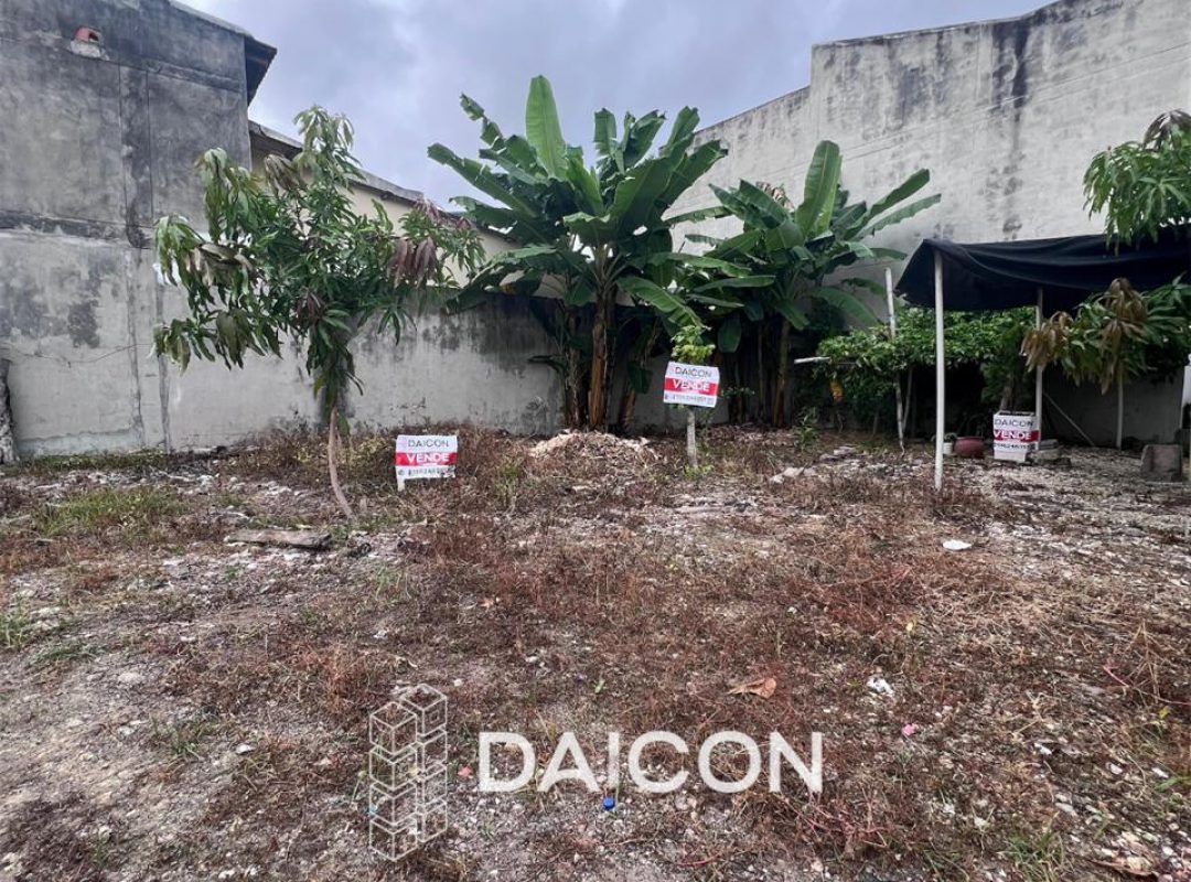 WhatsApp Image 2026-02-24 at 8.30.24 AM